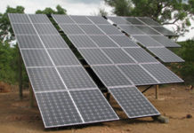 Portrait d’entreprise. Afrique du sud: Carbon Footprint, une initiative pour compenser les émissions nationales de CO2