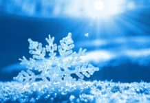NAOCOM : Le meilleur allié pour garantir la chaîne du froid
