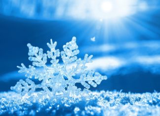 NAOCOM : Le meilleur allié pour garantir la chaîne du froid