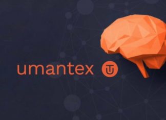 Umantex : Pourquoi une PME ou une ETI doit-elle créer son comité stratégique ?