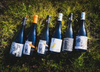 Château Terre Fauve : Les jeunes producteurs qui donnent un coup de fouet au vin français