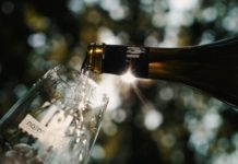 Château Terre Fauve : Mouvements, couleurs et vin