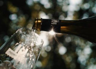 Château Terre Fauve : Mouvements, couleurs et vin