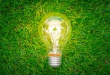 WIIO : Le Green IT, au cœur des stratégies des entreprises