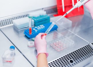 Diaclone, groupe MedixBiochemica: plus de 35 ans d’expertise en Immuno-oncologie