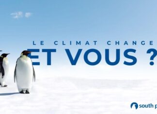 South Pole vous accompagne dans votre stratégie de transition climatique
