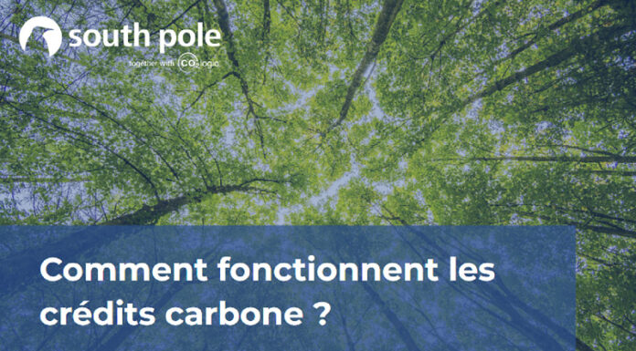 South Pole : Comment fonctionnent les crédits carbone ?