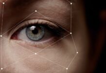 New Relic : L’étude la plus importante du secteur révèle que les entreprises doublent leur RSI grâce à l’observabilité