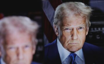 Les Chambres européennes face au retour de Donald Trump, entre inquiétude et pragmatisme