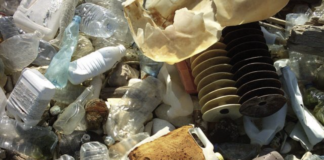 Surfrider Foundation Europe : Traité plastique, toujours pas de traité !