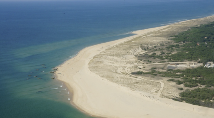 Surfrider Foundation Europe : Et vous, quelle est votre plage préférée ?