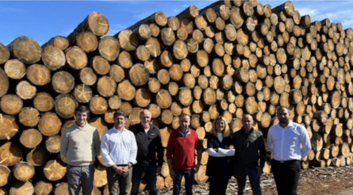 La scierie BUFFIÈRE & Fils rejoint SELVA GROUP