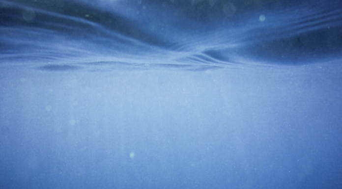 Surfrider Foundation Europe : ONE OCEAN GALA, une soirée à ne pas manquer