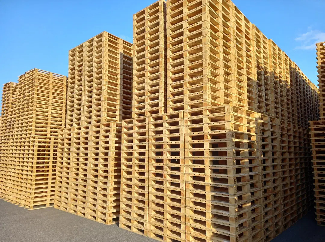 Selva Group : Des solutions en bois durables pour l’industrie et la ...